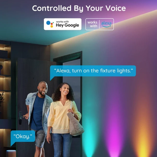 Smart Wall Light BD043