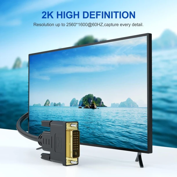 DVI 24+1 Cable