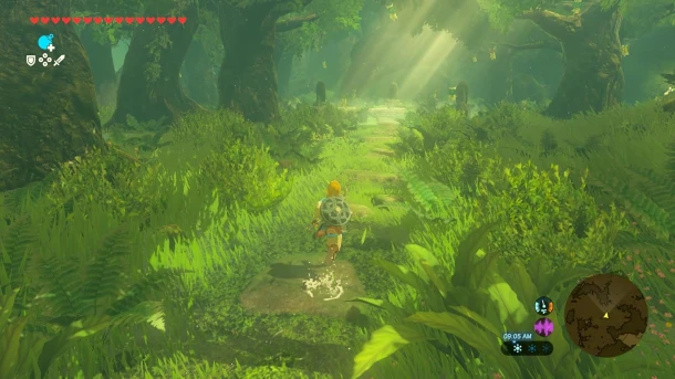 The Legend of Zelda : Breath of the Wild Nintendo Switch 2