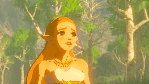 Zelda : Breath of the Wild