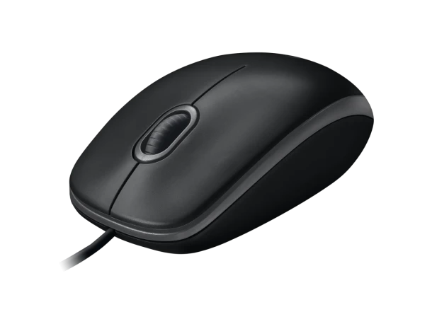 Logitech Mouse B100