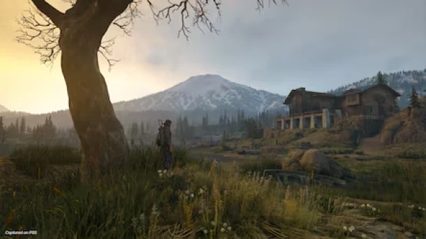 Days Gone PS4 Used