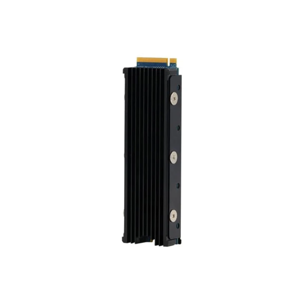 Exascend 2TB M.2 SSD PS5