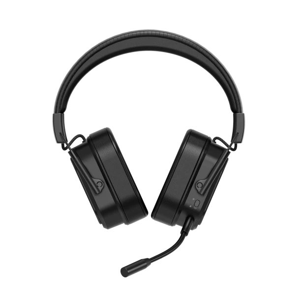 Rapoo Headphone VH850